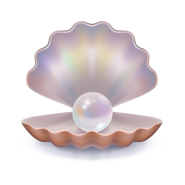 Pearl Free Clipart HD PNG Image