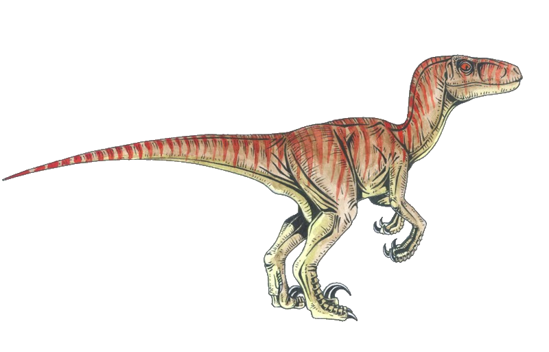 Velociraptor Tyrannosaurus Deinonychus Dinosaur PNG Download Free PNG Image