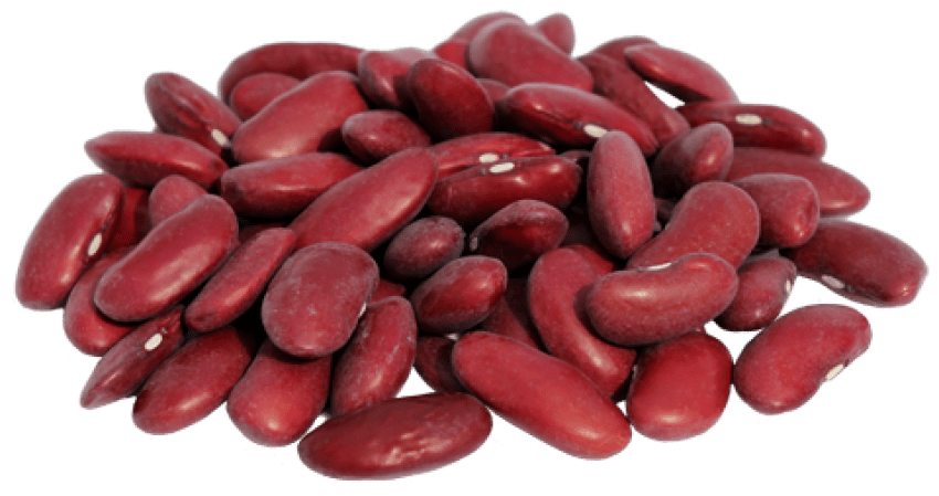 Raw Beans Kidney Free HD Image PNG Image