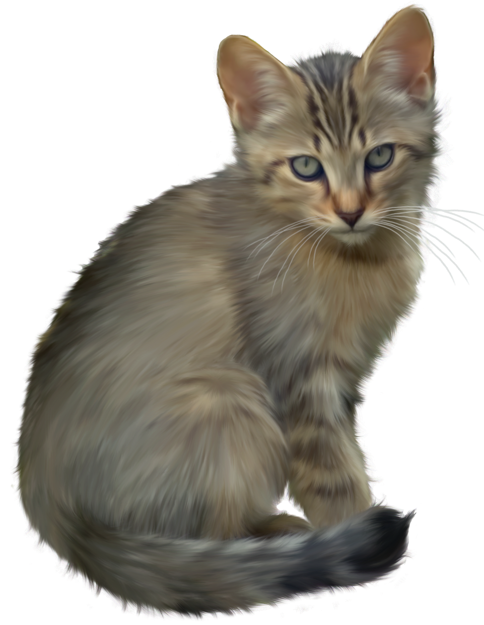 Kitten Transparent PNG Image