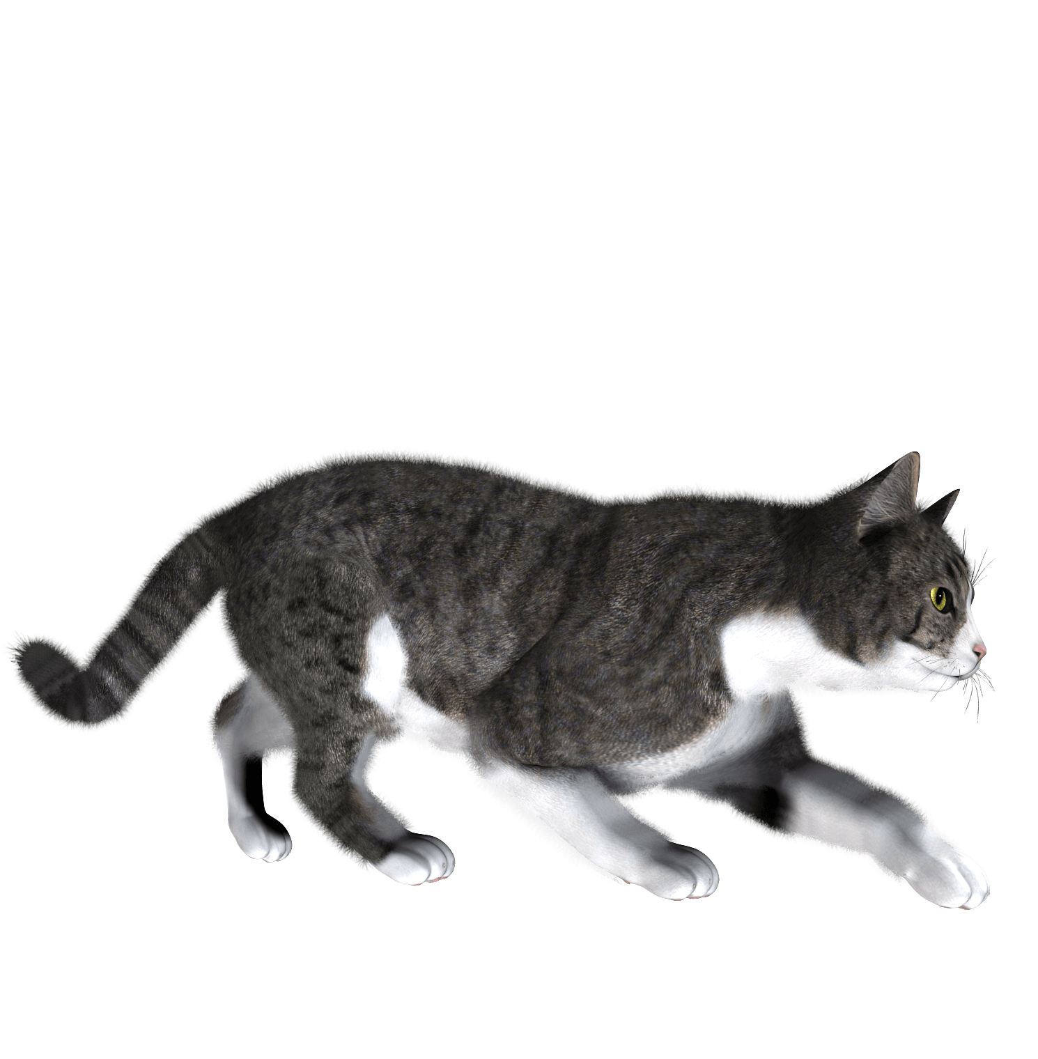 Cute Kitten Free Clipart HD PNG Image