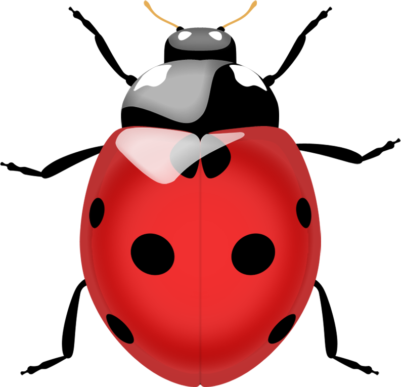 Ladybug Insect Red Free Clipart HQ PNG Image