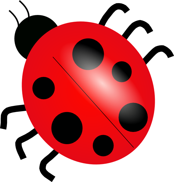 Ladybug Cartoon PNG Image