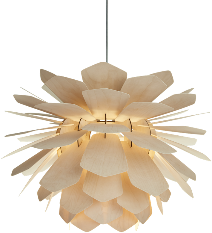 Ceiling Pic Lamp Free Download PNG HQ PNG Image