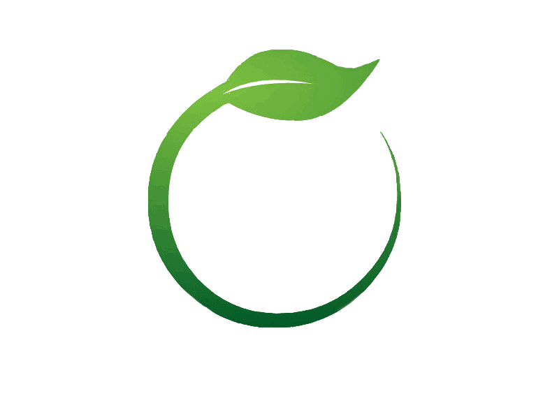 Green Leaf Picture Free PNG HQ PNG Image