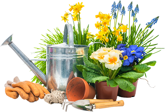 Gardening Picture Free Download PNG HD PNG Image