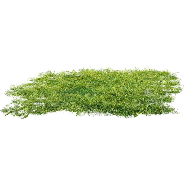 Ground Free Transparent Image HQ PNG Image