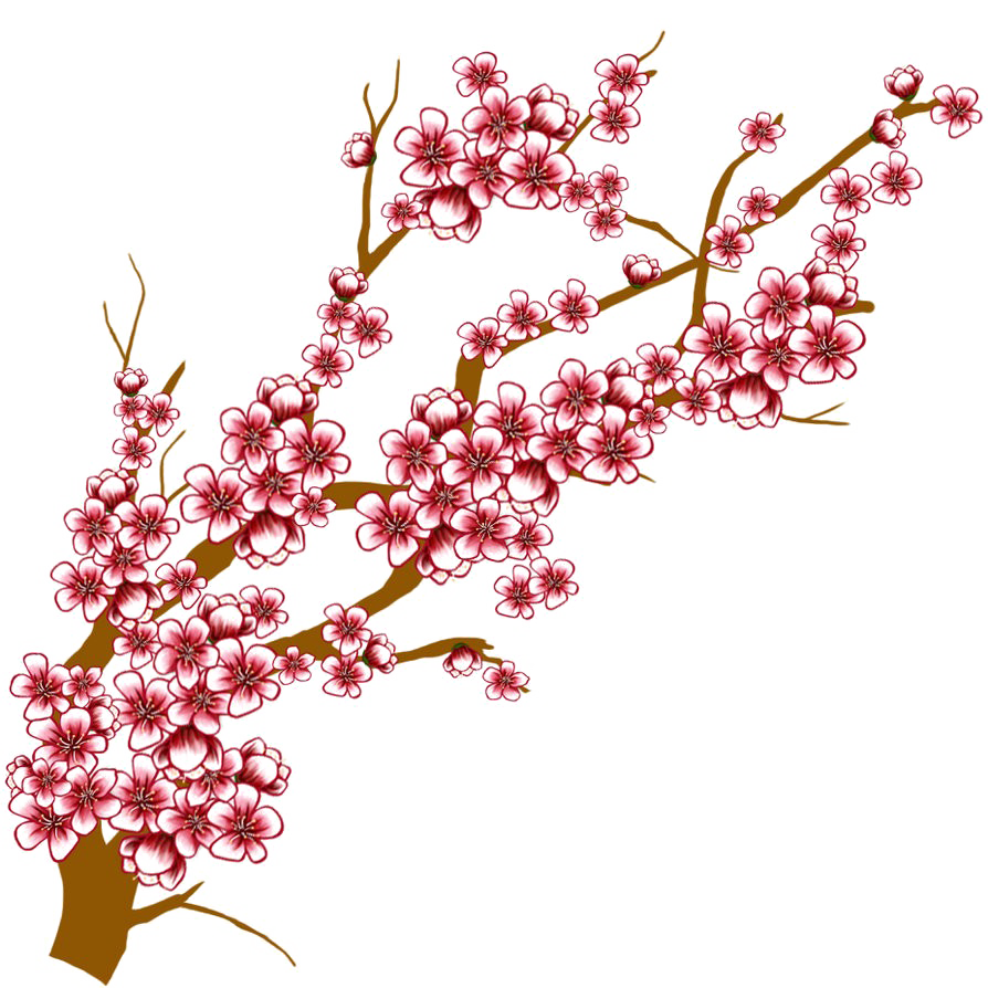 Japanese Flowering Cherry HQ Image Free PNG PNG Image