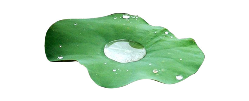Water Drop Leaf Free Clipart HQ PNG Image