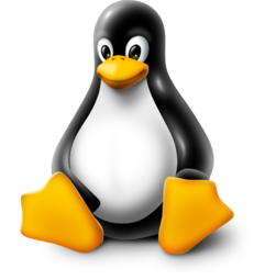 Linux logo PNG Image