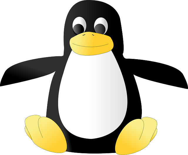 Linux logo PNG Image
