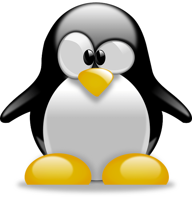 Linux logo PNG Image