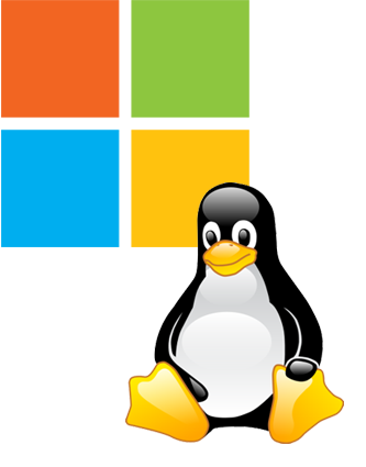 Linux logo PNG Image