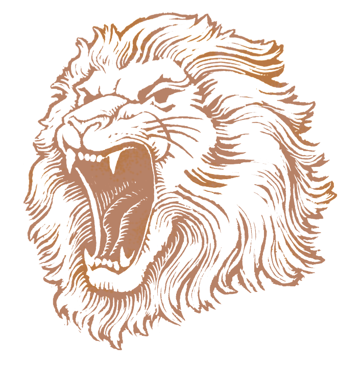 Lion Head Image PNG Image