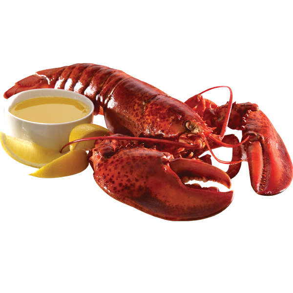 Lobster PNG Image