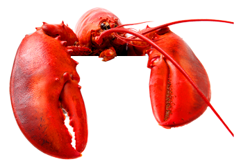Lobster PNG Image