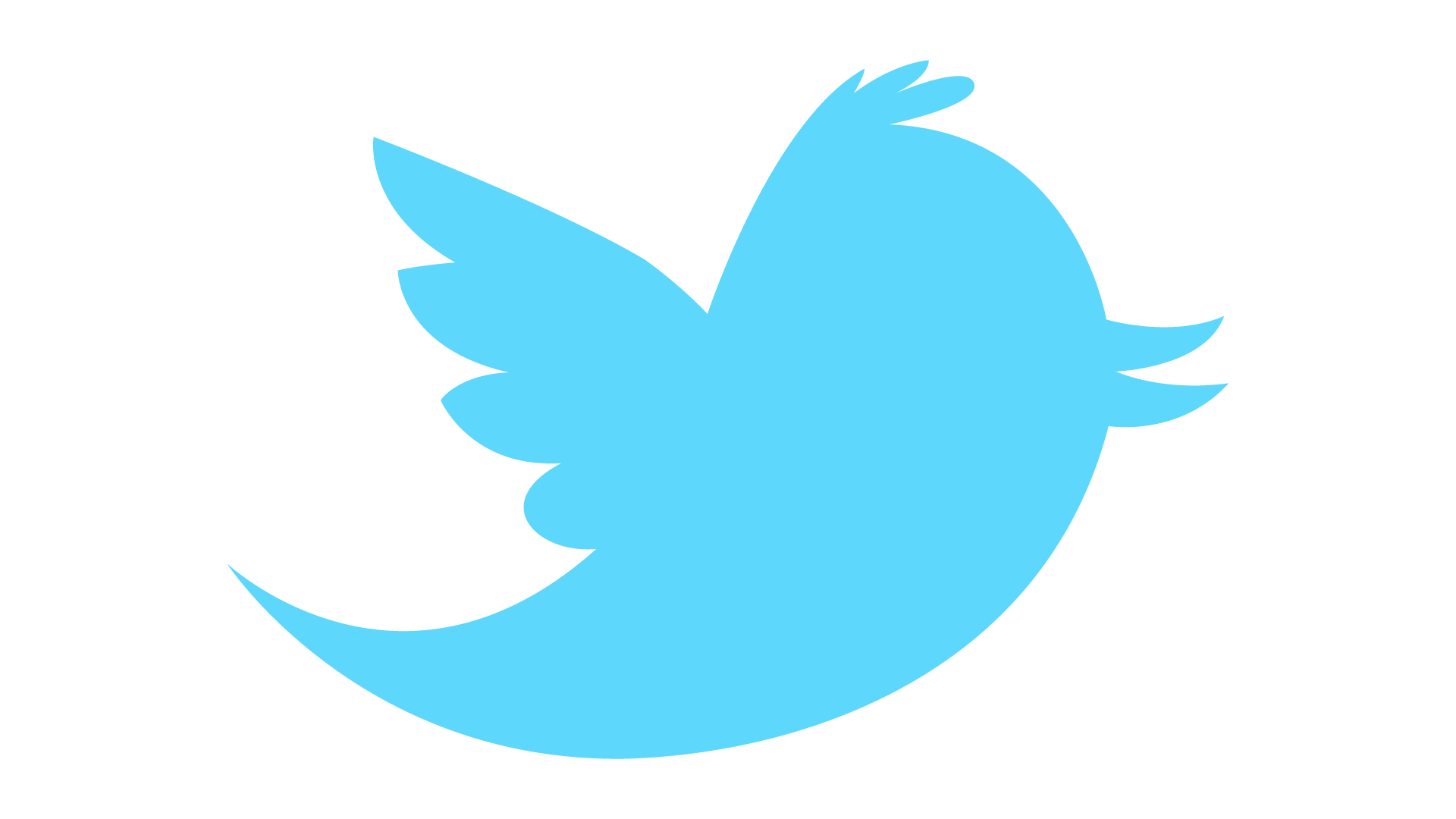 Information Twitter Advertising Logo Transparent Icon PNG Image