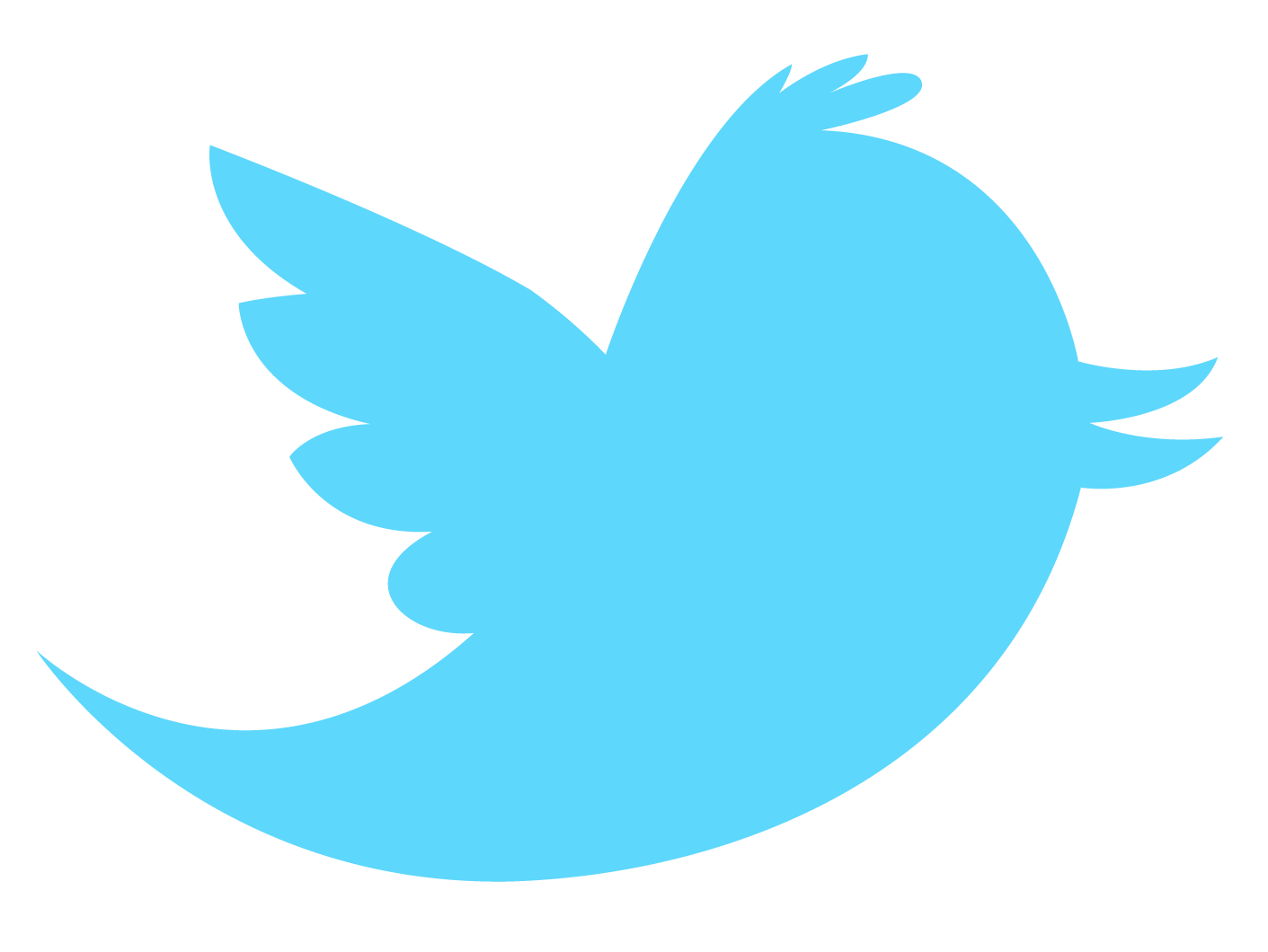twitter icon png 16x16