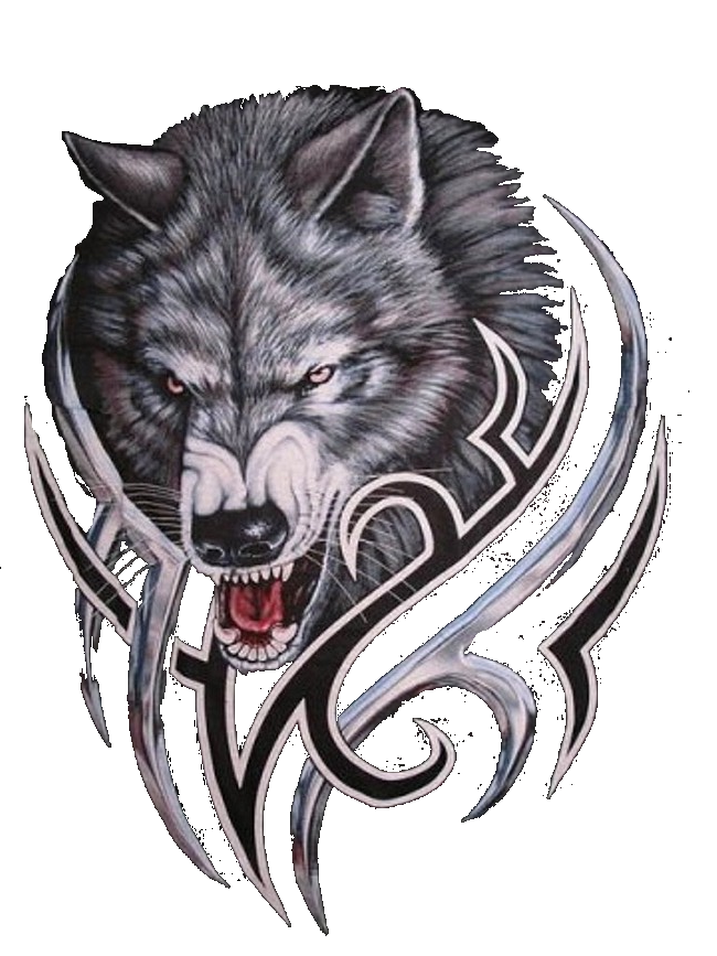 Gray Werewolf Wolf Bitcoin Logo PNG Download Free PNG Image