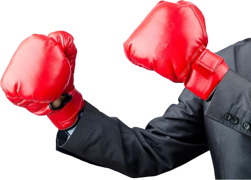 Gloves Mma Free HQ Image PNG Image