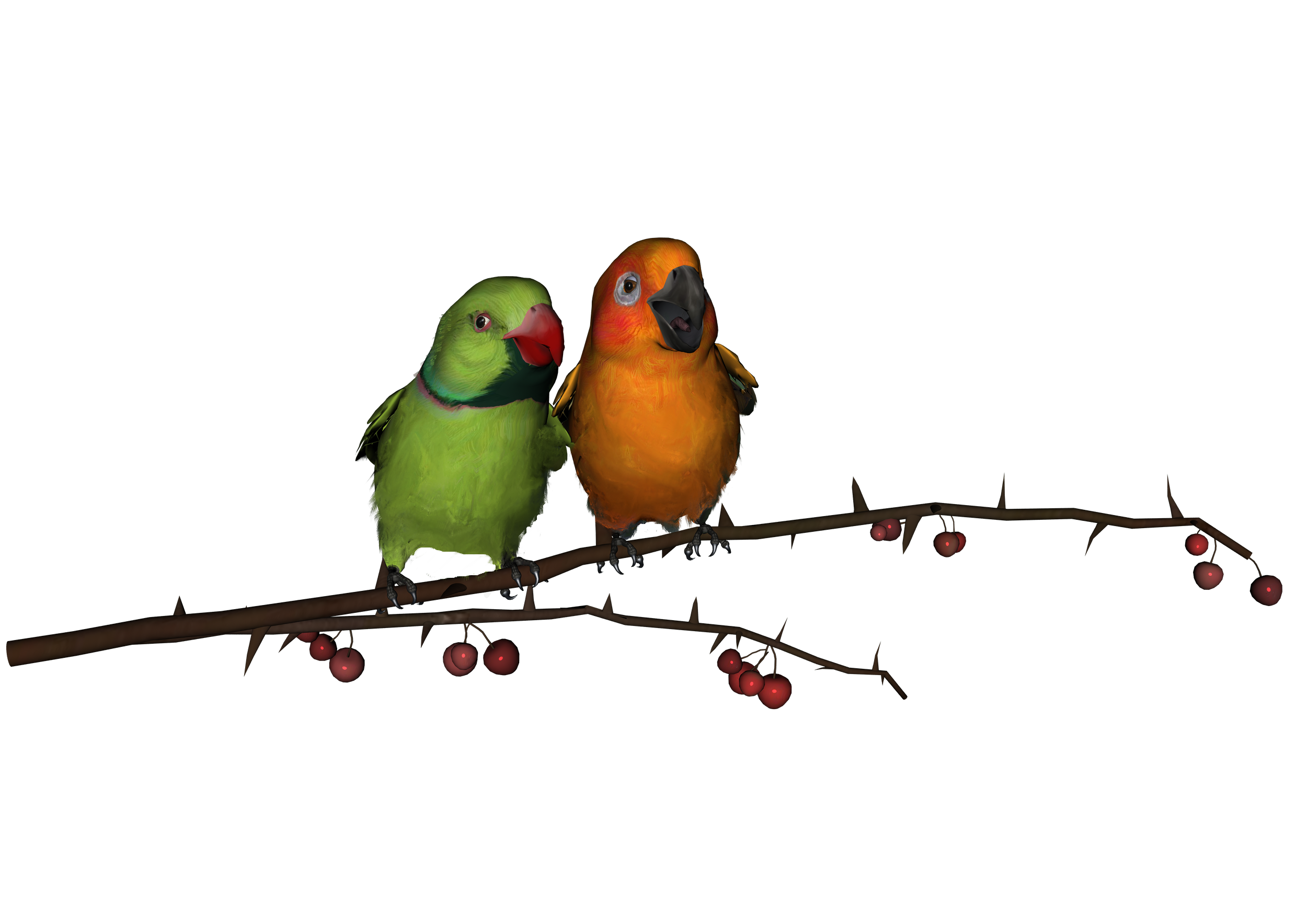 Love Birds Download Png PNG Image