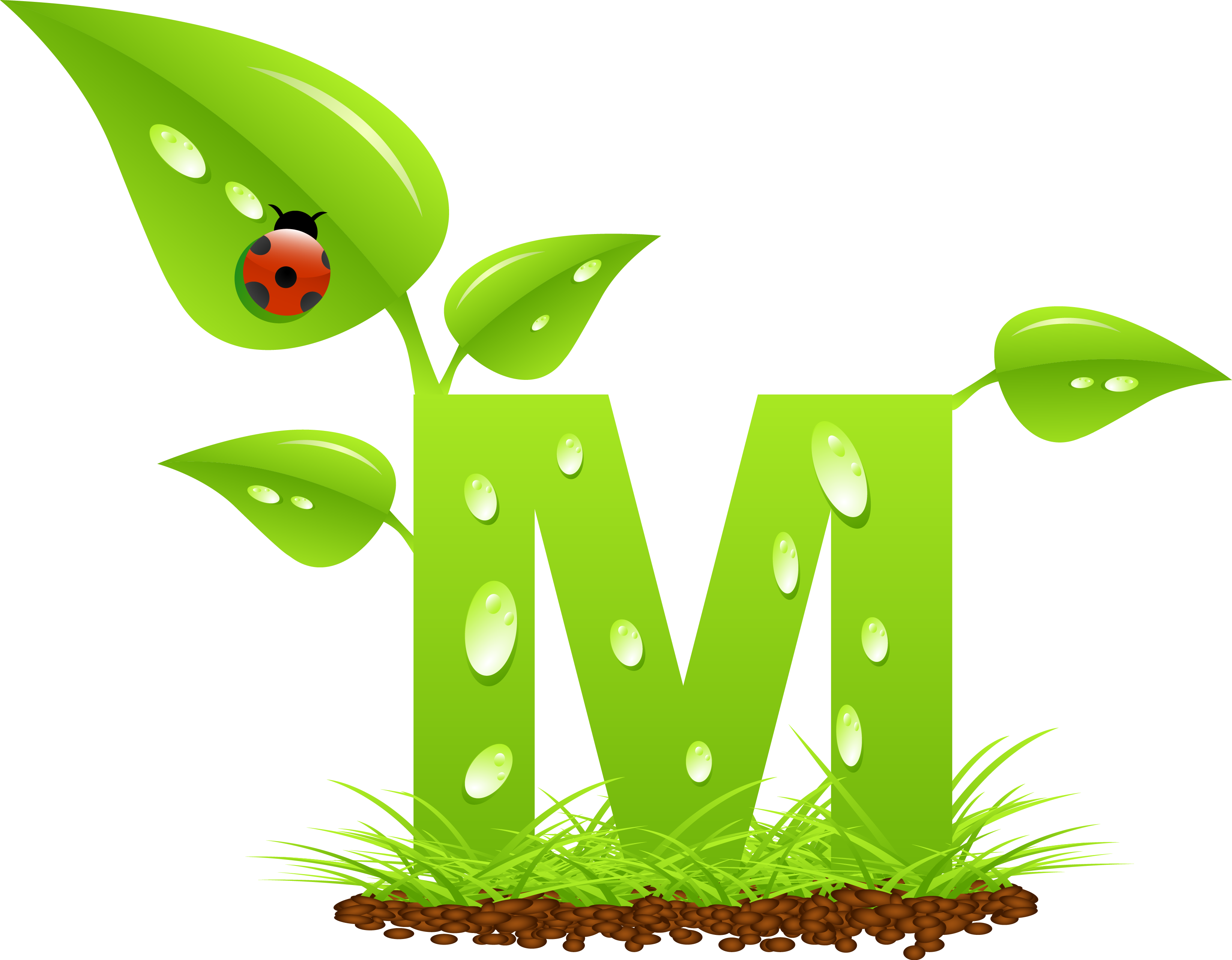 Letter M PNG Image