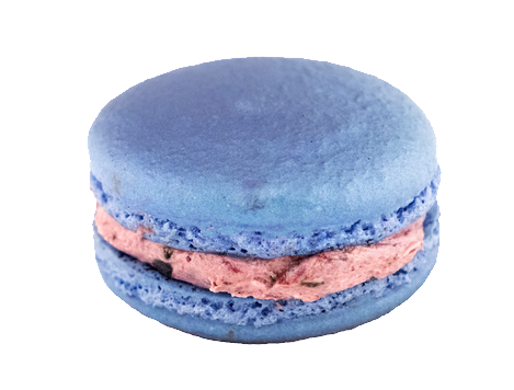 Macaron PNG Image