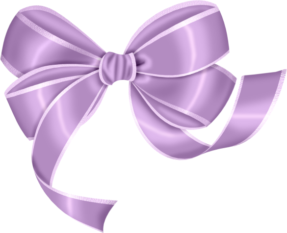 Bow Photos Free HQ Image PNG Image