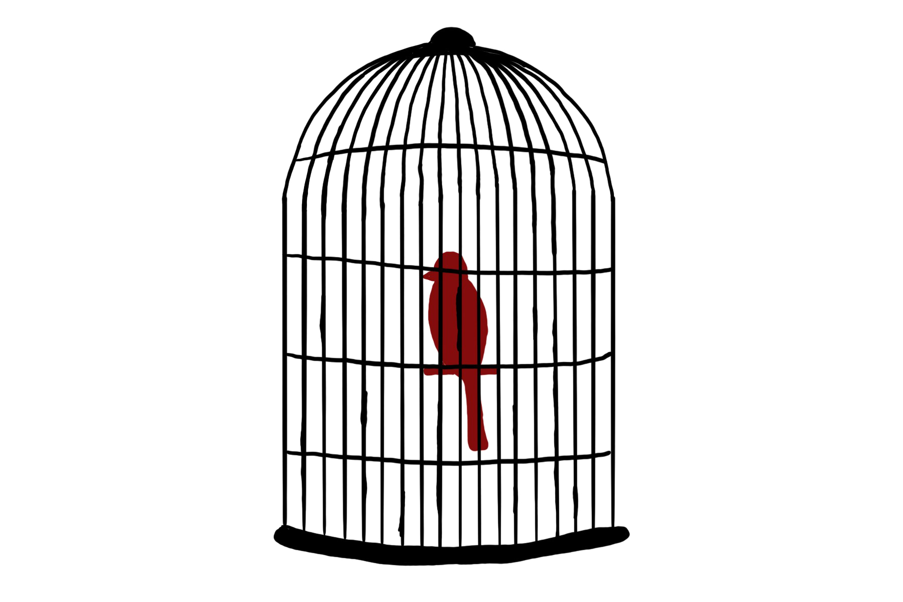 Caged Bird Images Free HQ Image PNG Image
