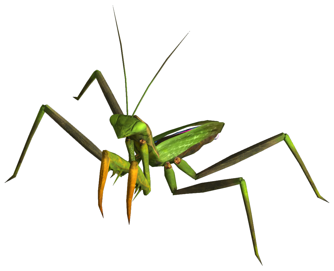 Mantis PNG Image