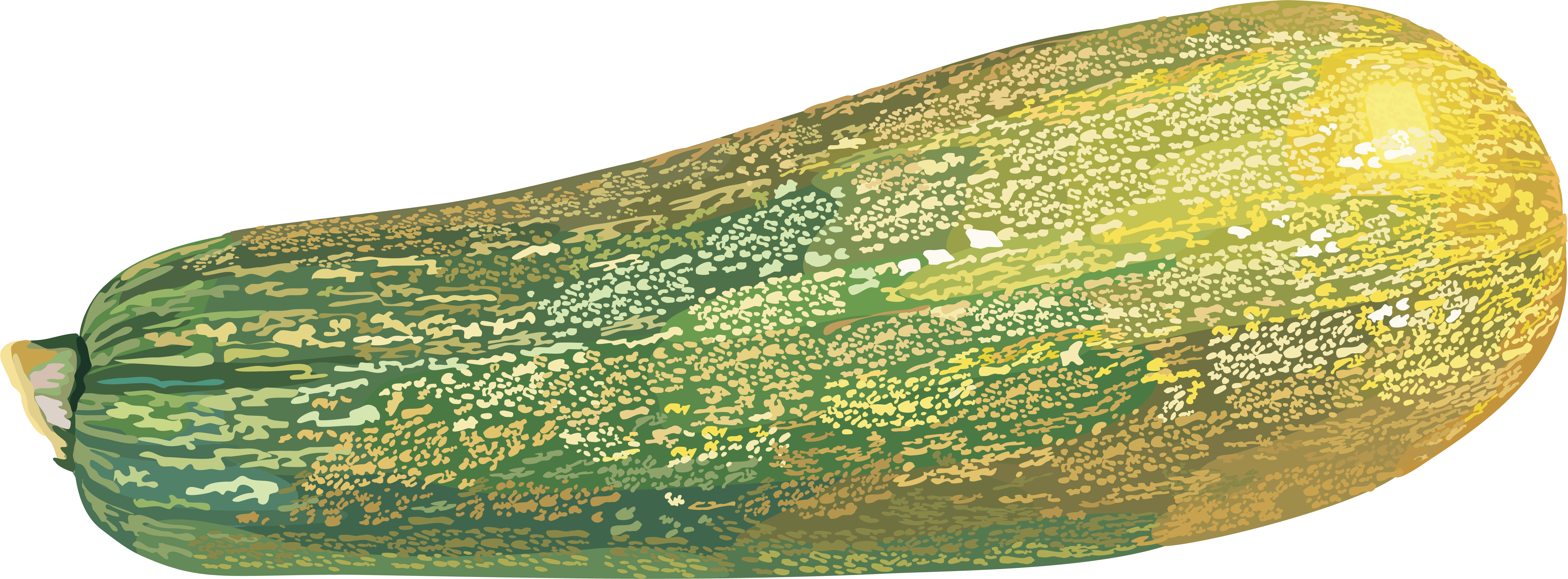 Marrow PNG Image