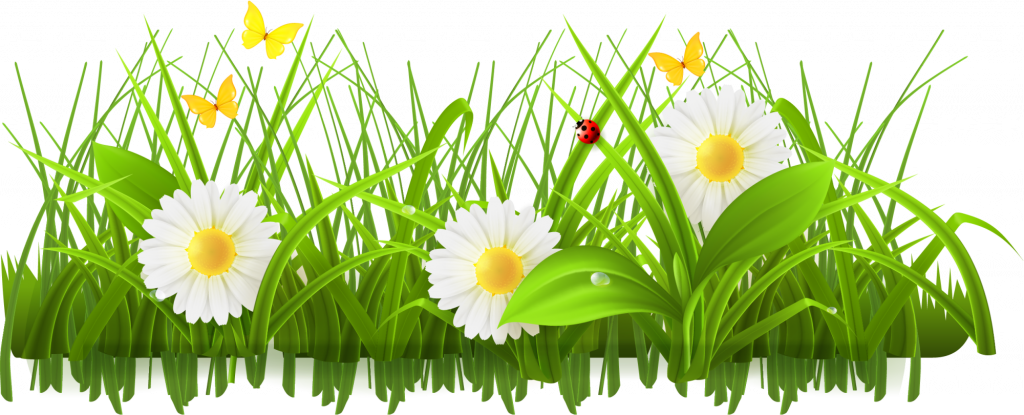 Meadow Download HQ PNG Image