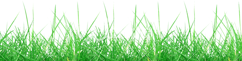 Meadow Free Clipart HD PNG Image