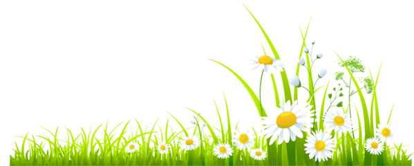 Summer Meadow Free Transparent Image HQ PNG Image