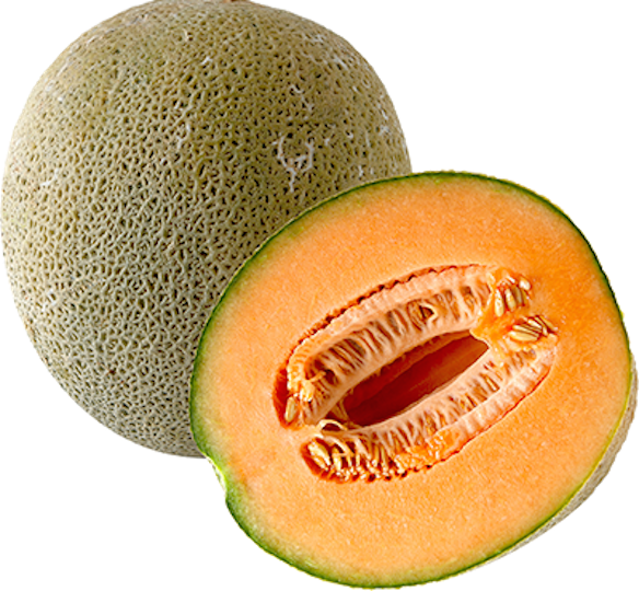 Melon PNG Image