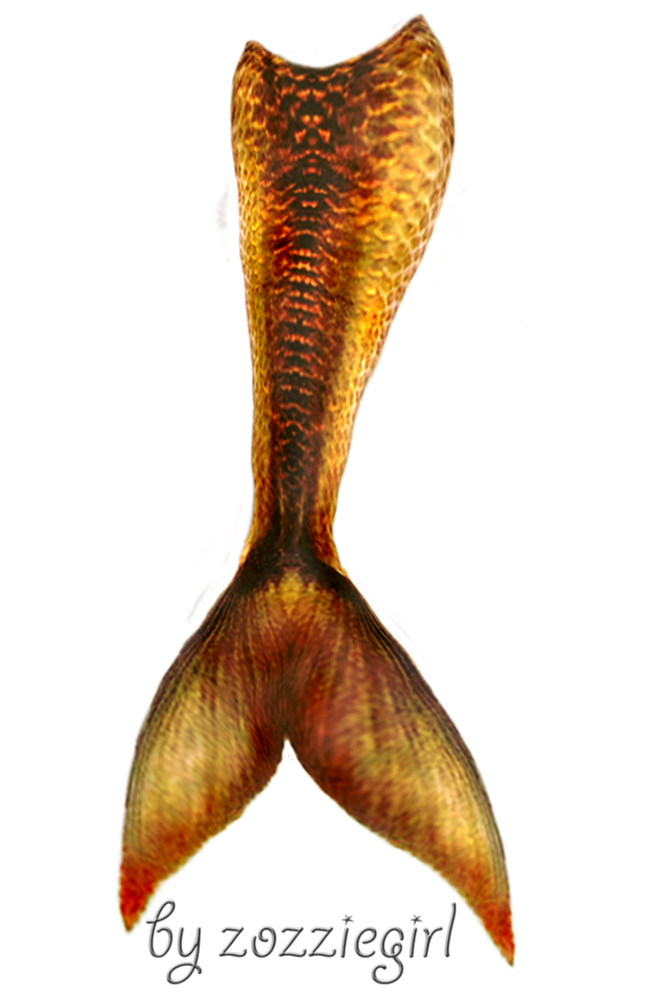 Mermaid Tail Transparent PNG Image