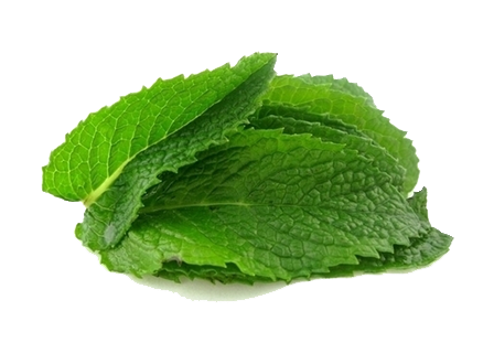 Mint Transparent Background PNG Image