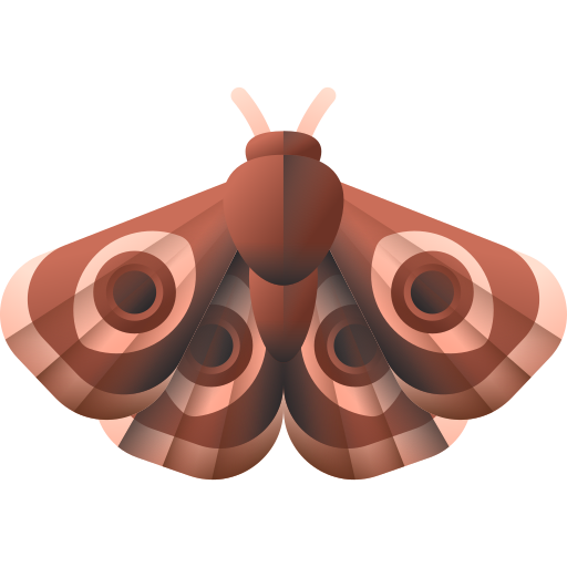 Moth PNG Image