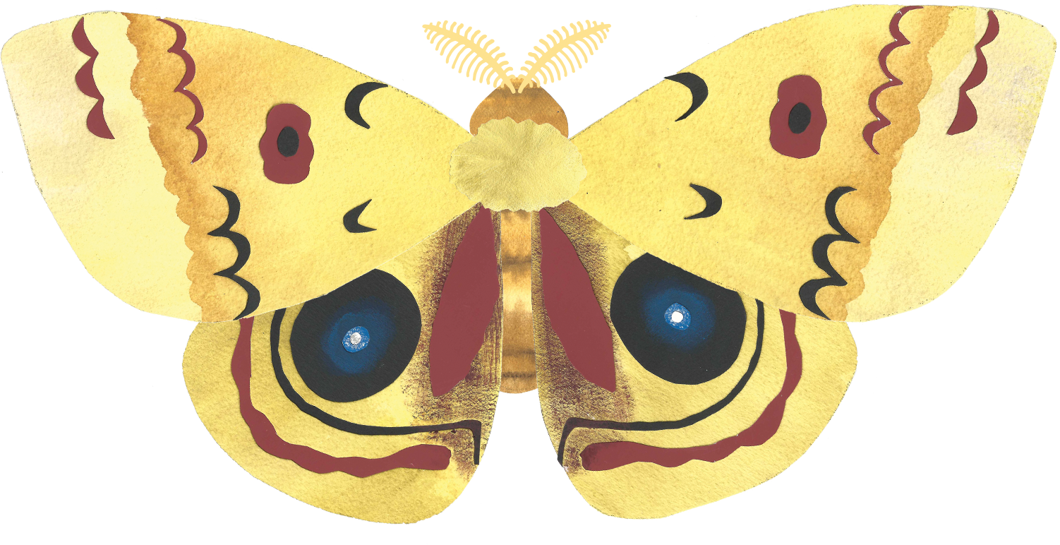 Moth PNG Image