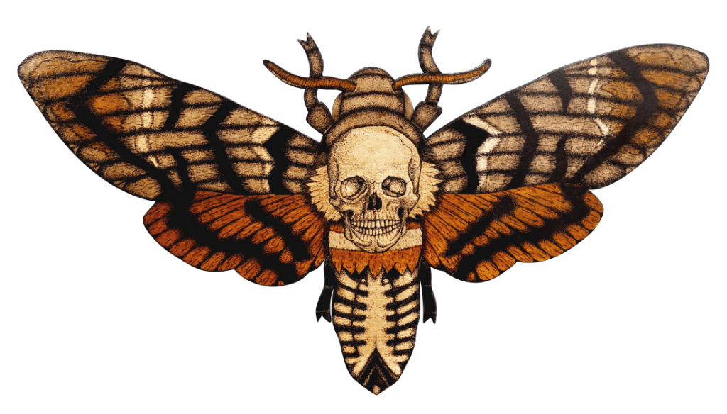 Moth PNG Image