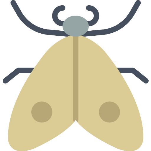 Moth PNG Image