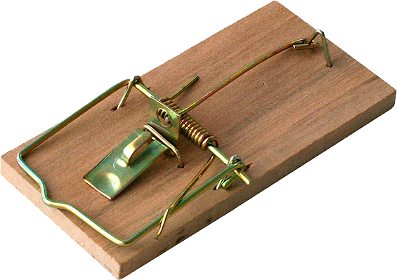 Mouse trap PNG Image