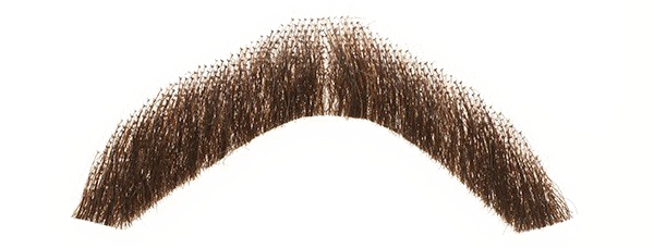Fake Moustache PNG Image High Quality PNG Image