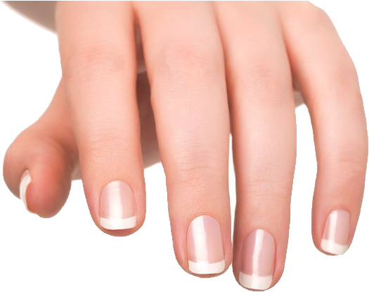 Nails PNG Image