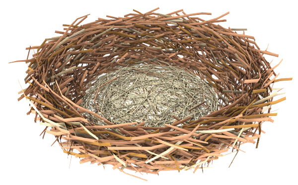 Nest Clipart PNG Image