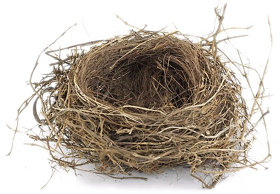 Nest Free Download Png PNG Image