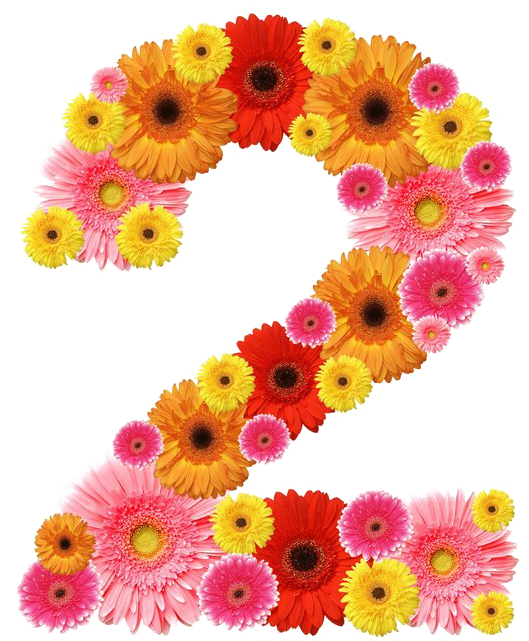 Floral Number PNG Download Free PNG Image