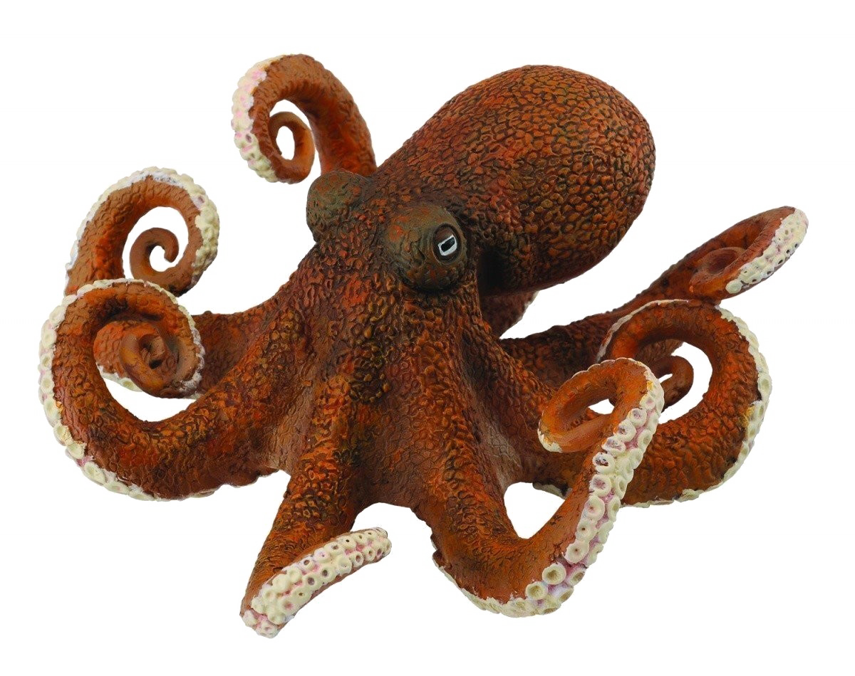 Octopus Toy Photos Download Free Image PNG Image