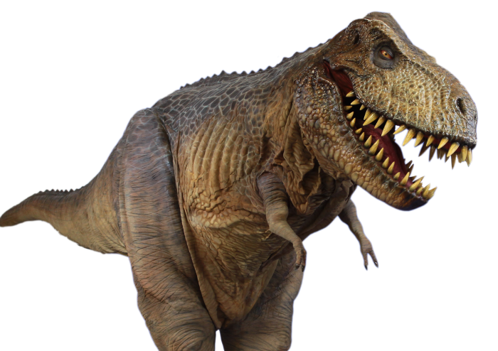 T Rex HD Free Download PNG HQ PNG Image