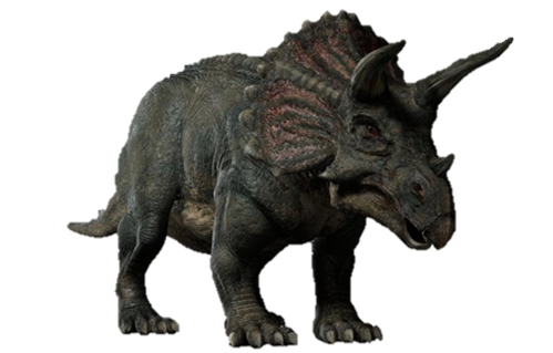 Triceratop Image Free Download Image PNG Image